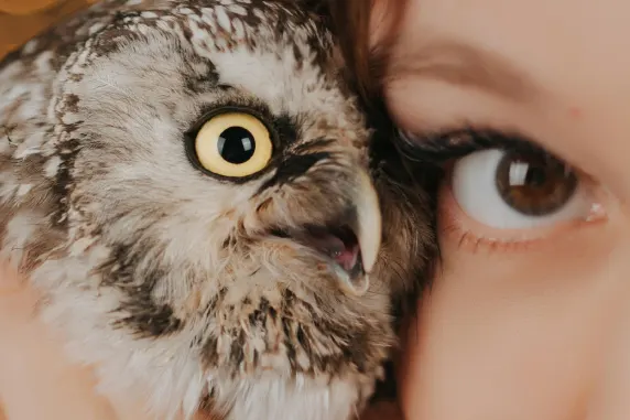 카지노 올스타 슬롯츠 지원